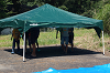 camp27 (123)_thumb.png